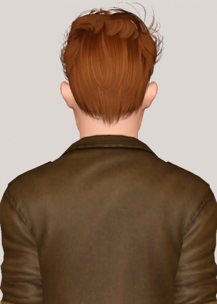 Newsea`s Robin hair retextured by Someone take photoshop away from me for Sims 3